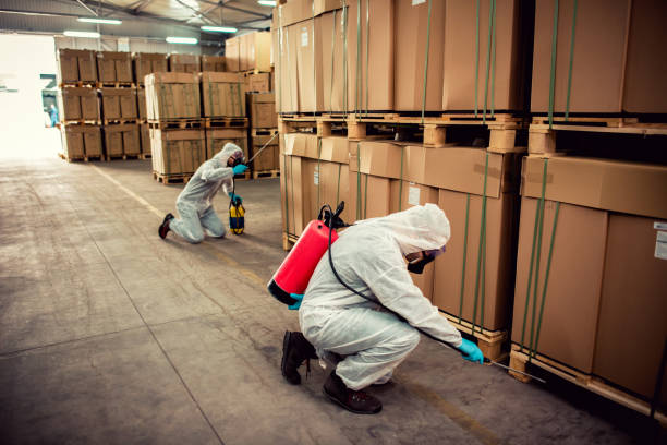 Best Mosquito Control Services  in Meridian, MS
