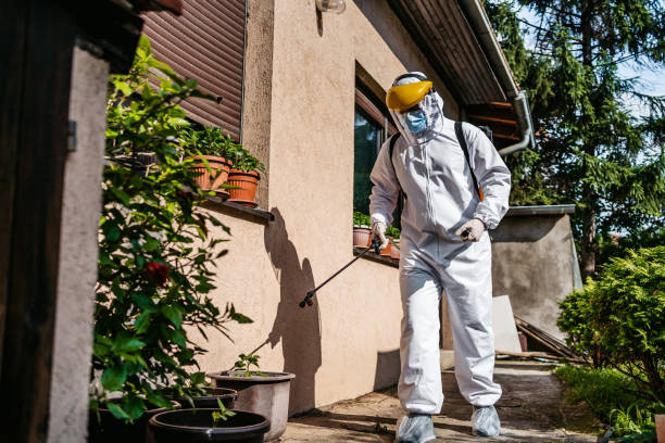 Wasp Removal Services in Meridian, MS