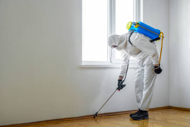 Best Emergency Pest Control  in Meridian, MS
