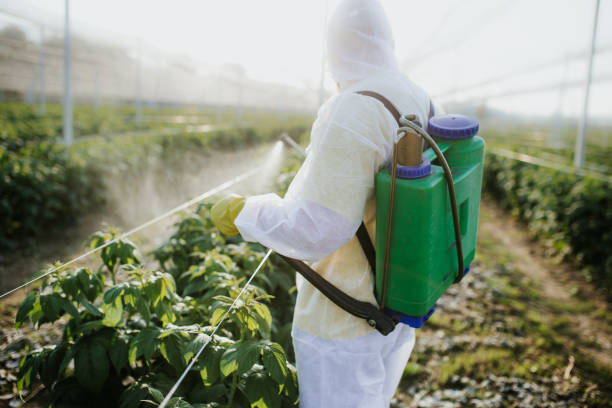 Best Ant Control Services  in Meridian, MS